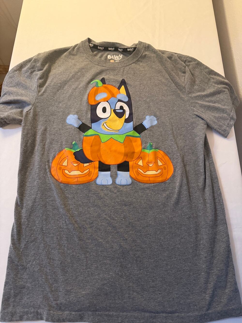 Bluey Halloween Pumpkin Costume Graphic T-Shirt Gray Adult Medium